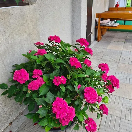 Gostilna Batist 4* Bohinjska Bela