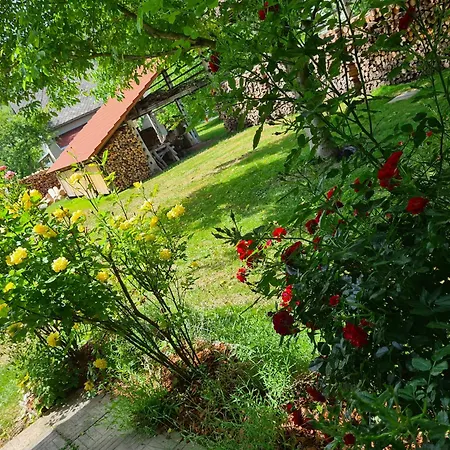 Bed & Breakfast Gostilna Batist 4*